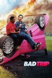 Bad Trip (2021) Hindi Dubbed