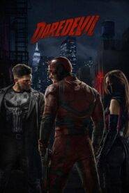 Marvels Daredevil (2016) Hindi Season 2 Complete