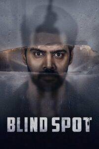 Blind Spot (2025) Telugu PreDVD