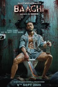 Baaghi 4 (2025) Hindi HD AMZN