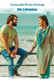 Vunnadhi Okate Zindagi (2017) Hindi Dubbed