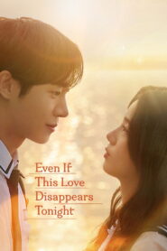 Even If This Love Disappears Tonight (2025) Hindi Dubbed Netflix